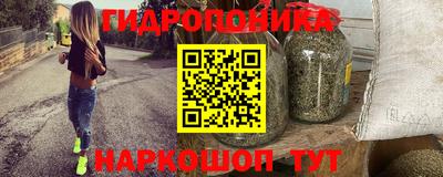 дмт Сланцы