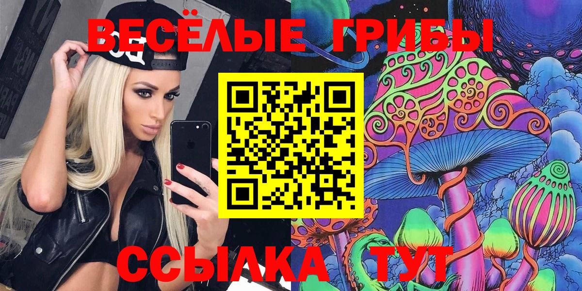 Псилоцибиновые грибы ЛСД  Вход с VPN  закладка  Минусинск 